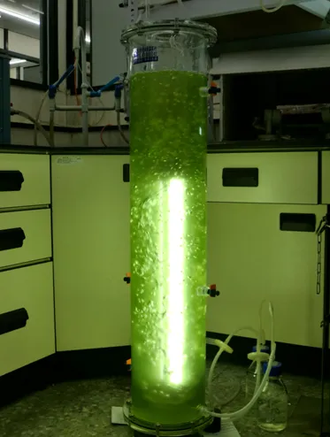 生物培养装置-光反应器