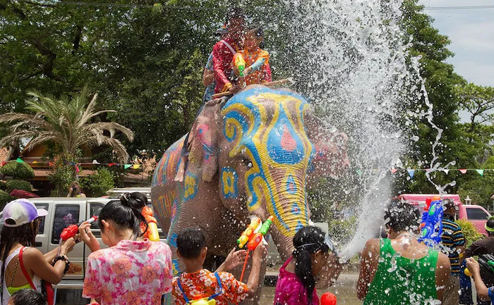 Songkran in Ayutthaya. Elephant spray water. Photo by JJ Harrison.