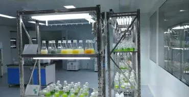 algae bank