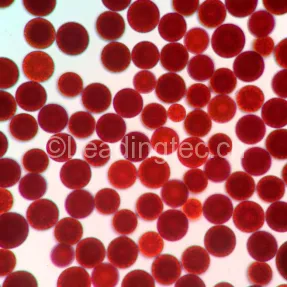 Haematococcus Pluvialis
