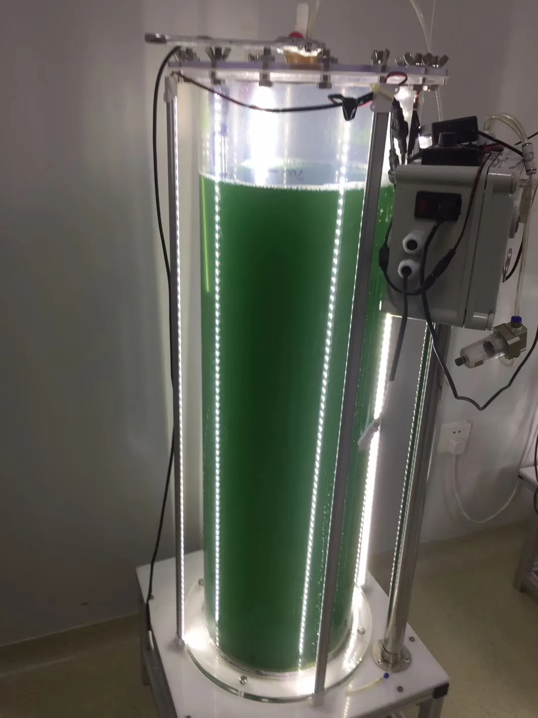 columnar photobioreactor