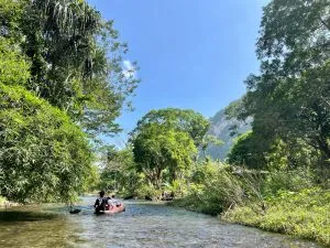 Canoeing tour on the Sok River in Khao Sok.