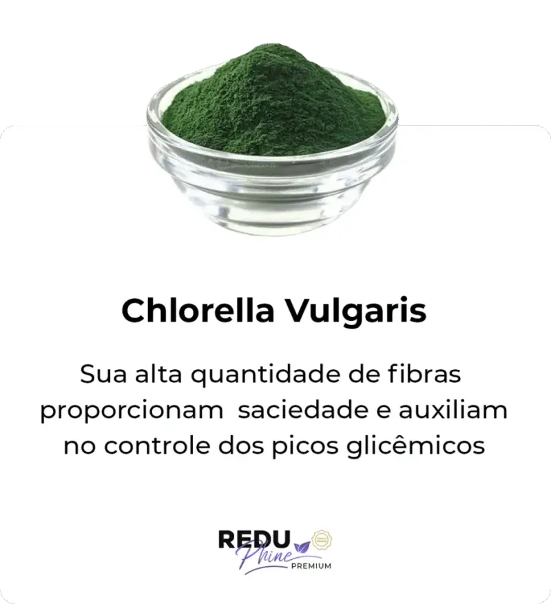 i-Chlorella-Vulgaris.png