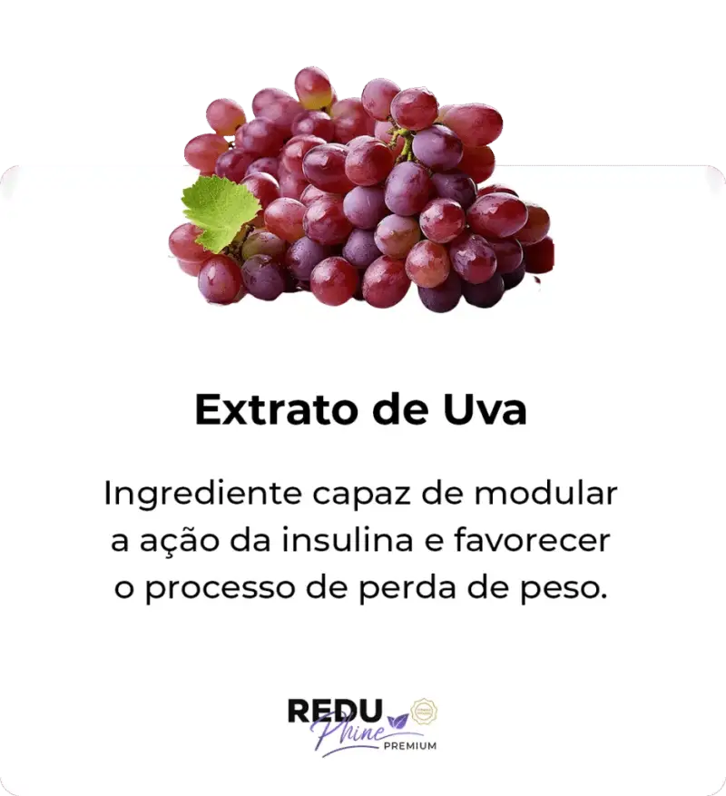 i-Extrato-de-uva.png