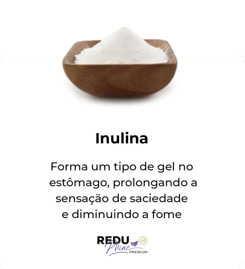 i-Inulina-2.png