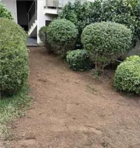 Tranchée ouverte entre les massifs d'un jardin à Porticcio