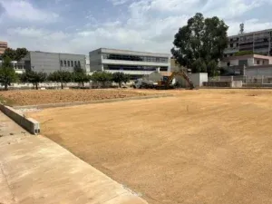 Îlot central délimité par des bordures béton au milieu du parking