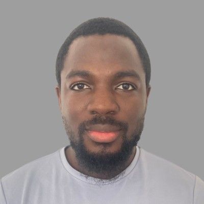 Toyeeb (Taiwo) Adesokan's image