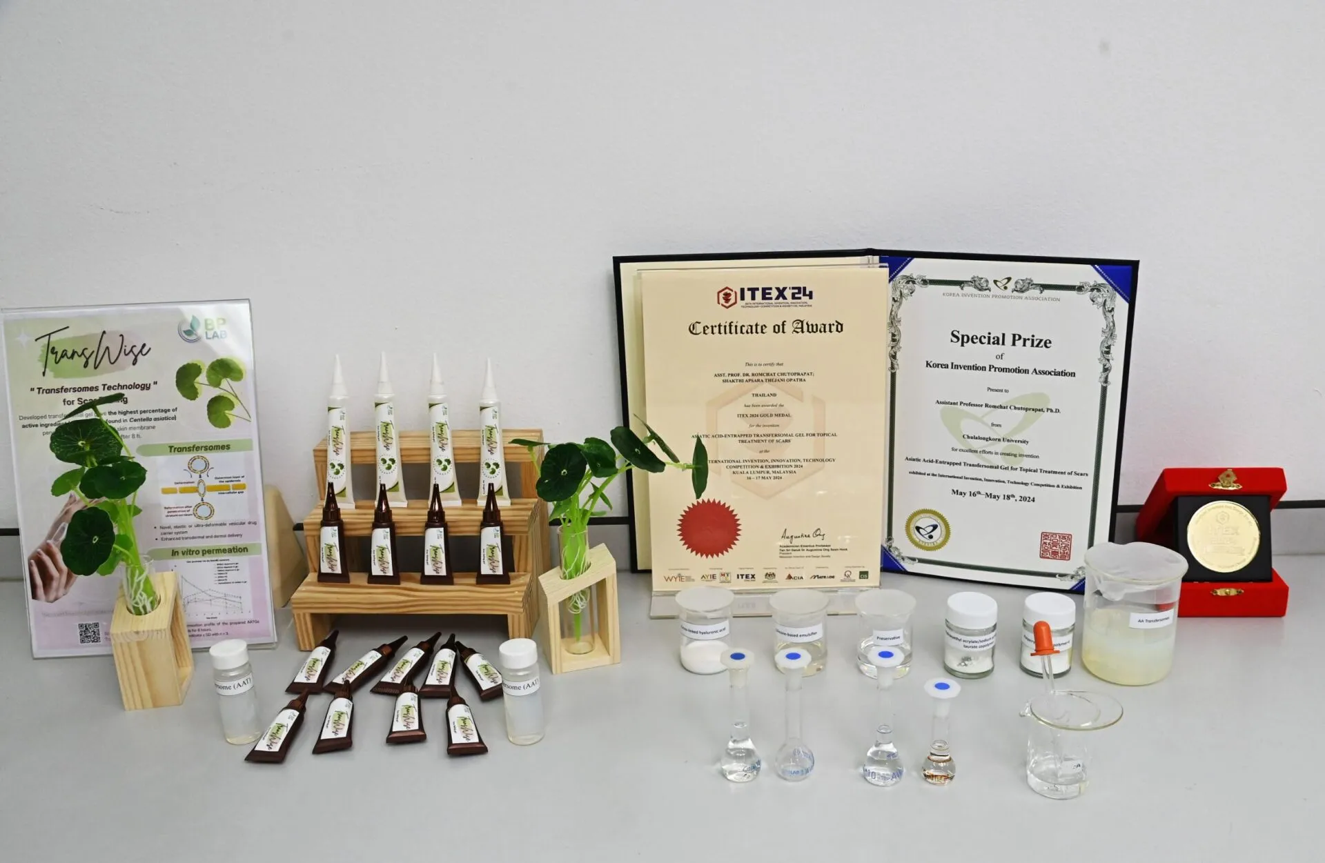 Asiatic acid-loaded transfersome gel.