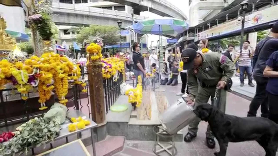 Canine police at Erawan Shrine in Bangkok