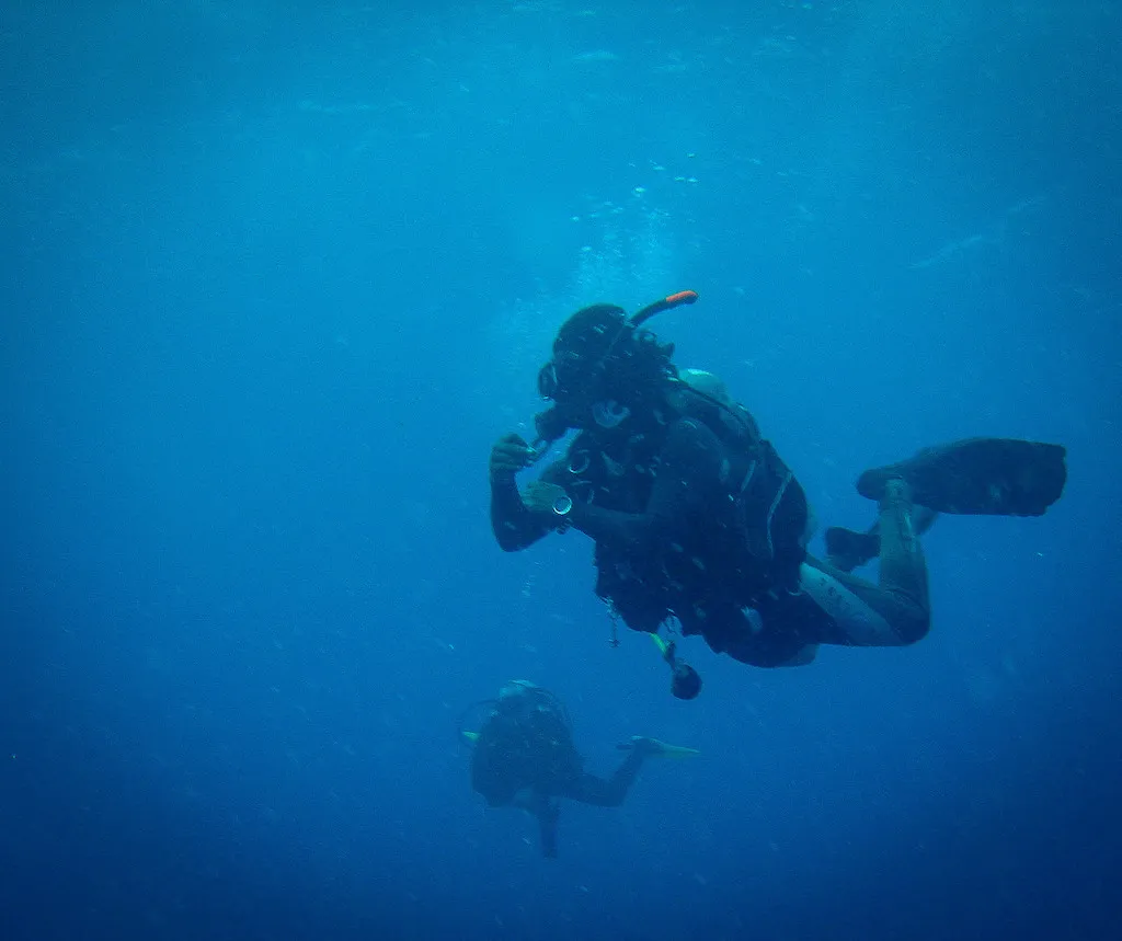Dive sites around Reethi Beach, Maldives