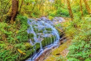 Waterfall at Kiew Maepan nature trail, Doi Inthanon national park, Chiang Mai