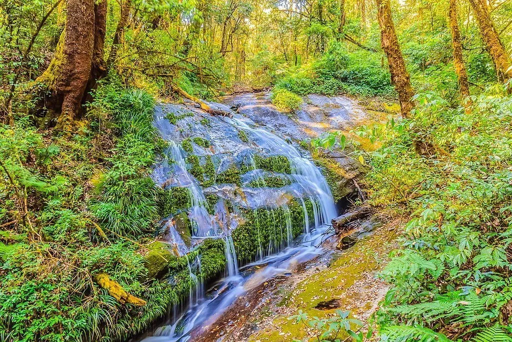 Waterfall at Kiew Maepan nature trail, Doi Inthanon national park, Chiang Mai