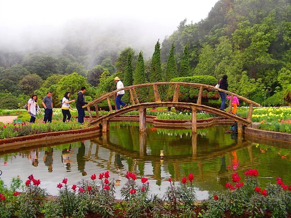 Between the King and Queen Pagodas of Doi Inthanon National Park