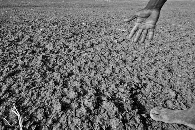 Fields affected by drought