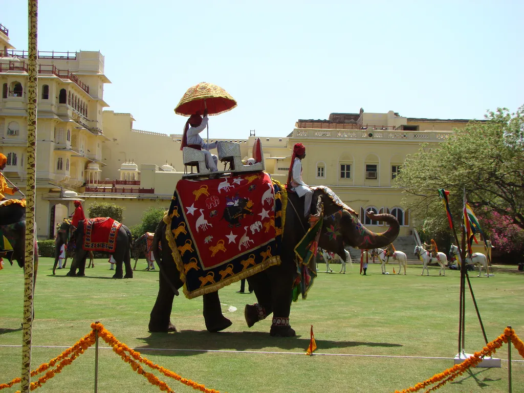 Elephant polo