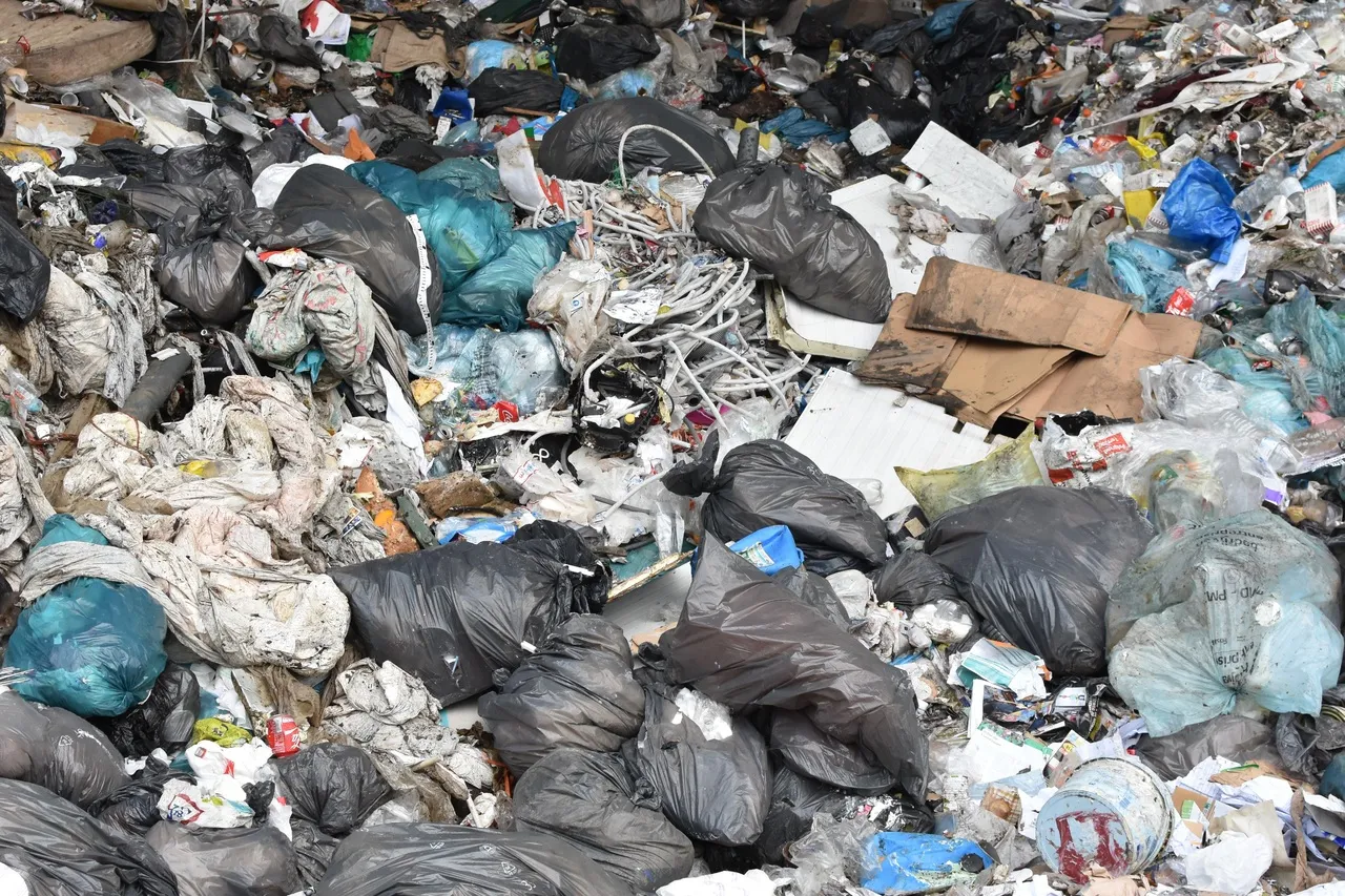 A pile of garbage.