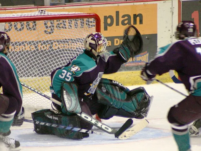 Ice Hockey goal.