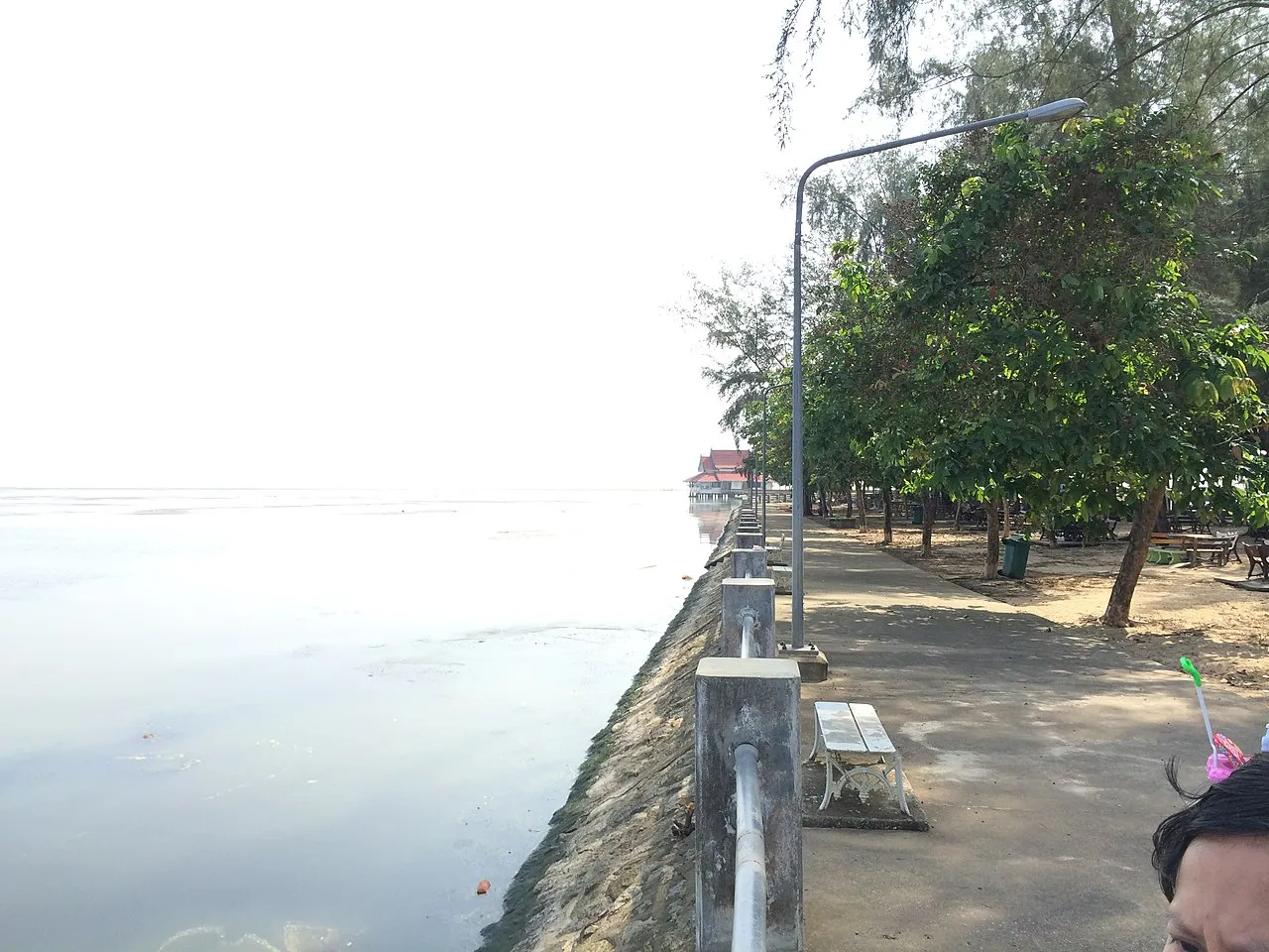 Lam Pam in Muang Phatthalung District