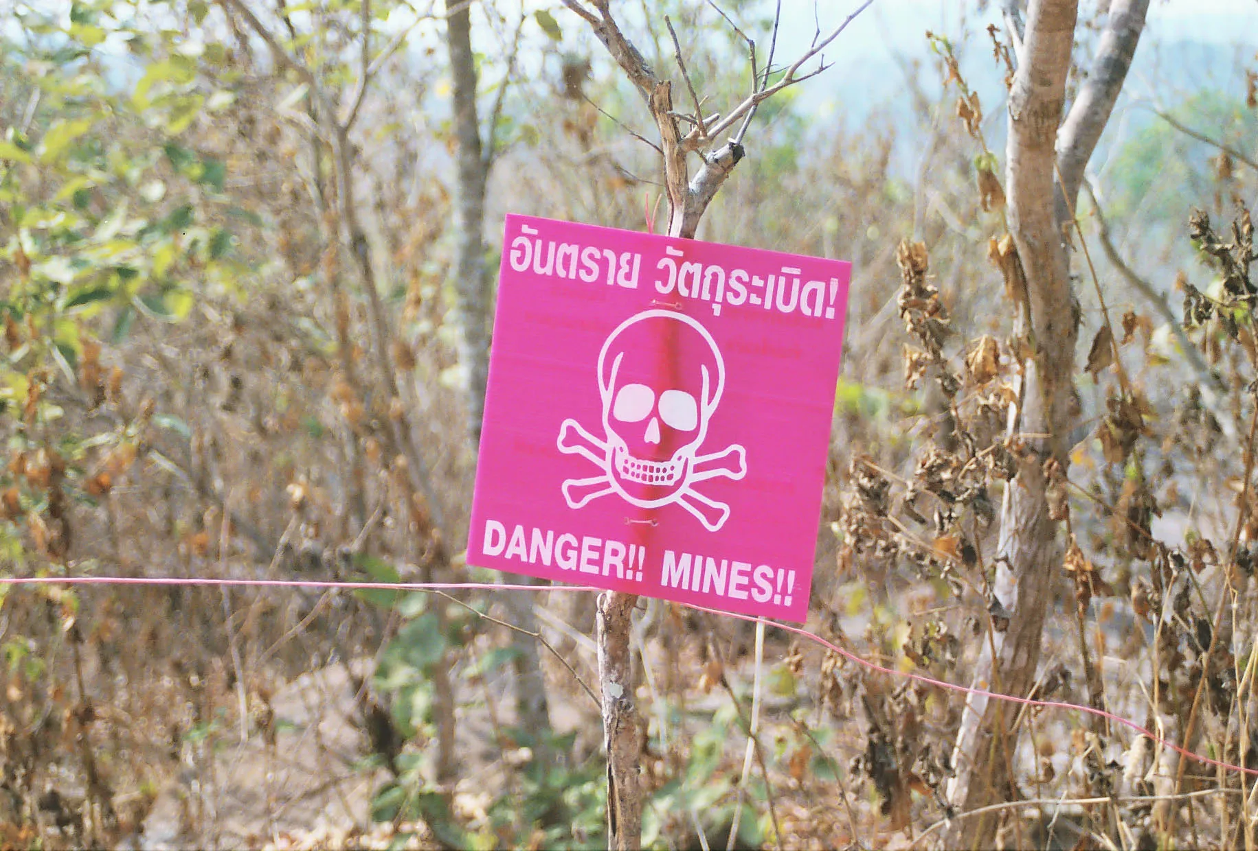 Cambodian Minefield on the border with Thailand.