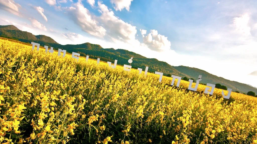 Suwan Farm in Pak Chong district, Nakhon Ratchasima