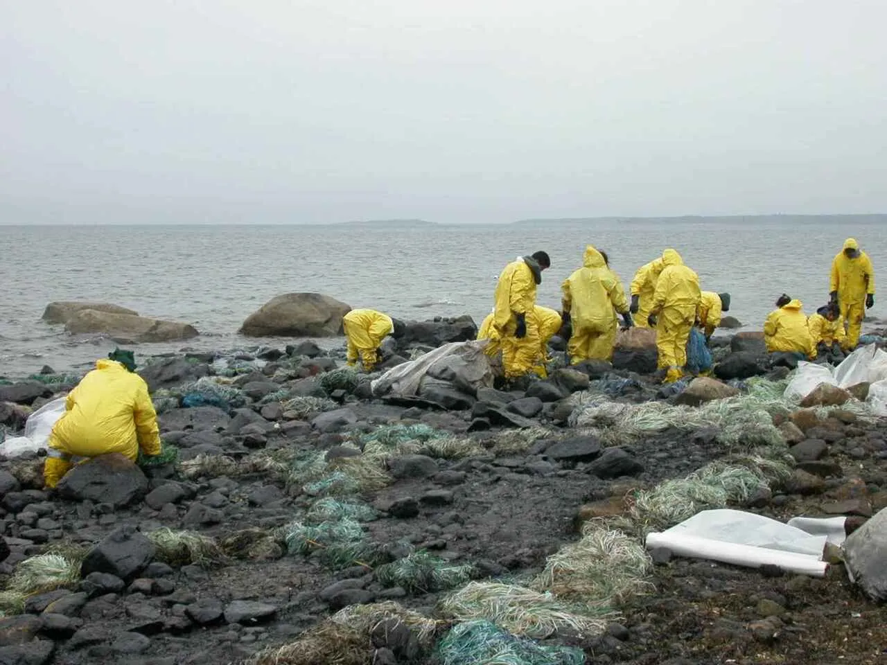 Oil spill clean up at sea
