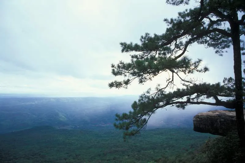Pha Lom Sak cliff, Loei