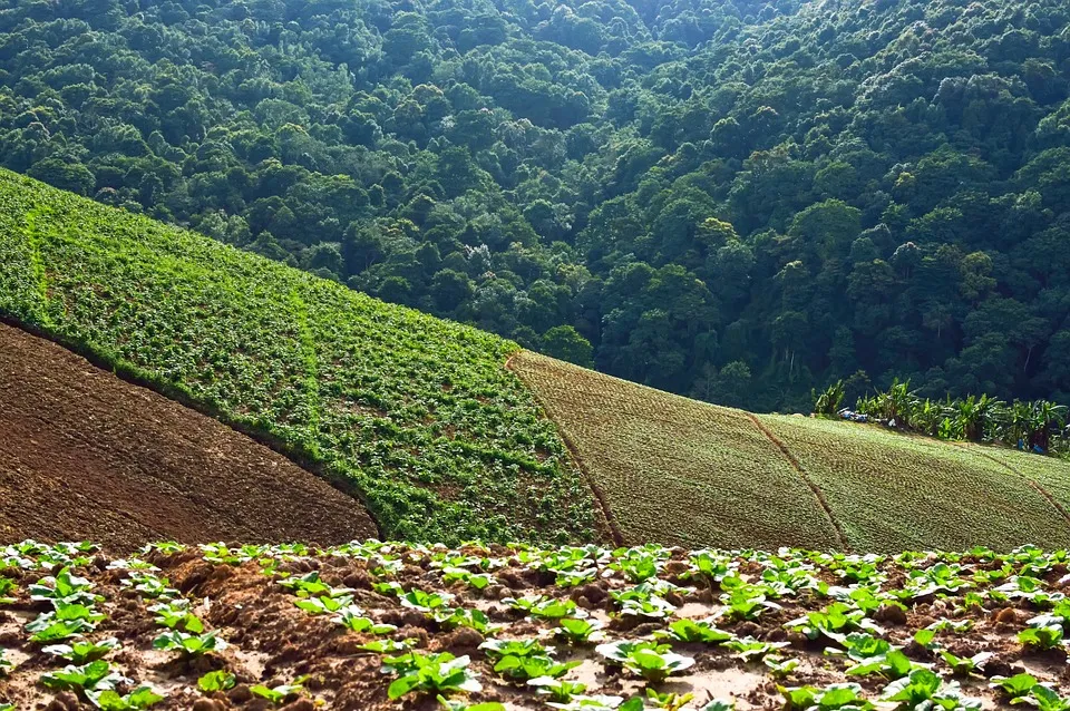 Phu Thap Boek in Phetchabun Province