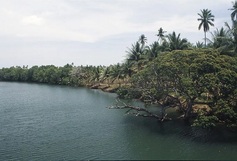 Palawan river bank