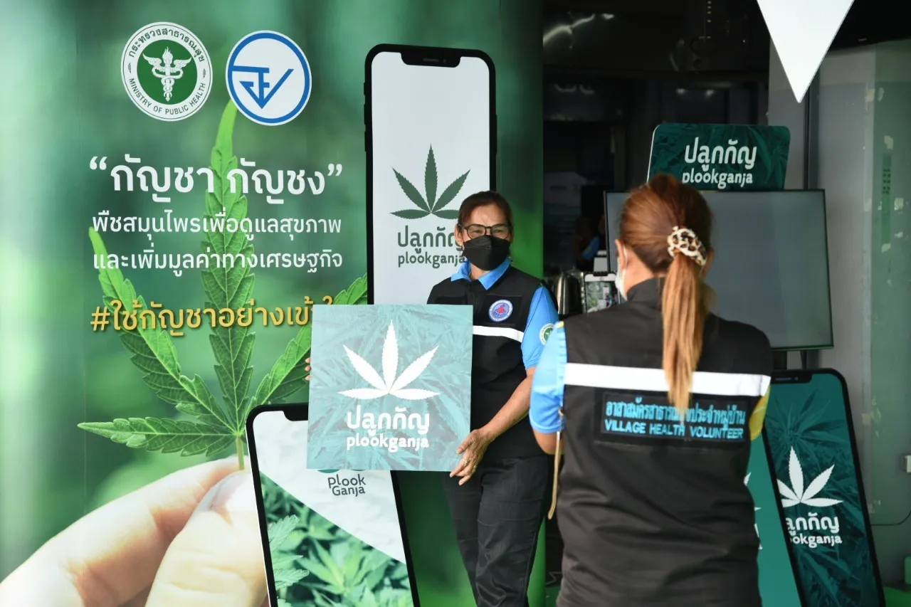Plook Ganja App