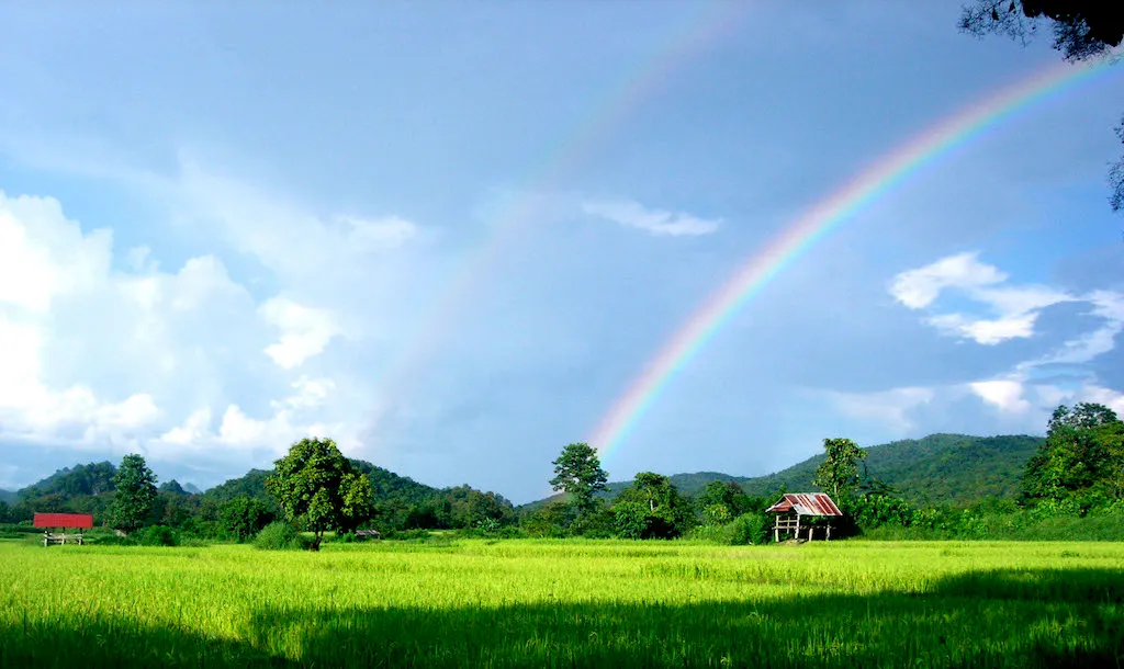 Rainbow from a rice field in Phrae Province