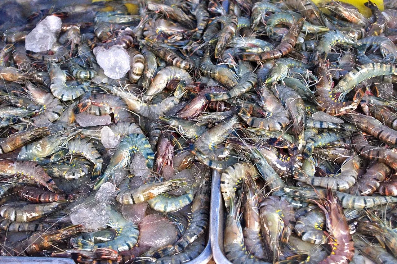 Prawns, shrimp and seafood at a local market in Thailand