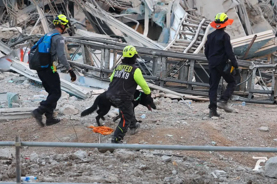 Dog and search and rescue personnel searching through the rubble of the collapsed State Audit Office (SAO) tower during the Bangkok earthquake.