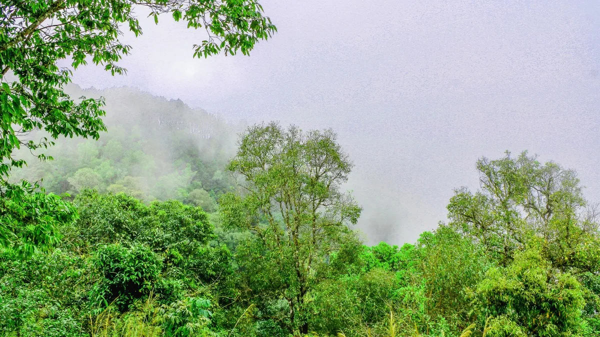 Smoke haze on a forest in Thailand