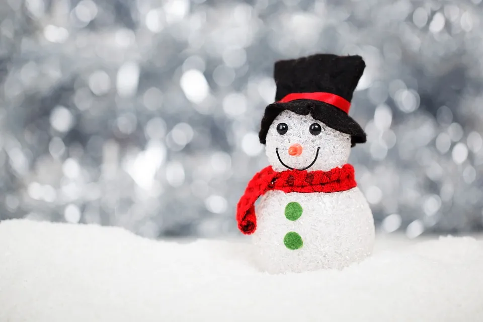Snowman in Christmas