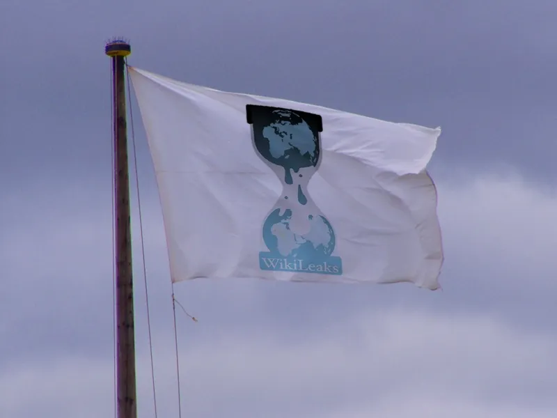 Wikileaks flag