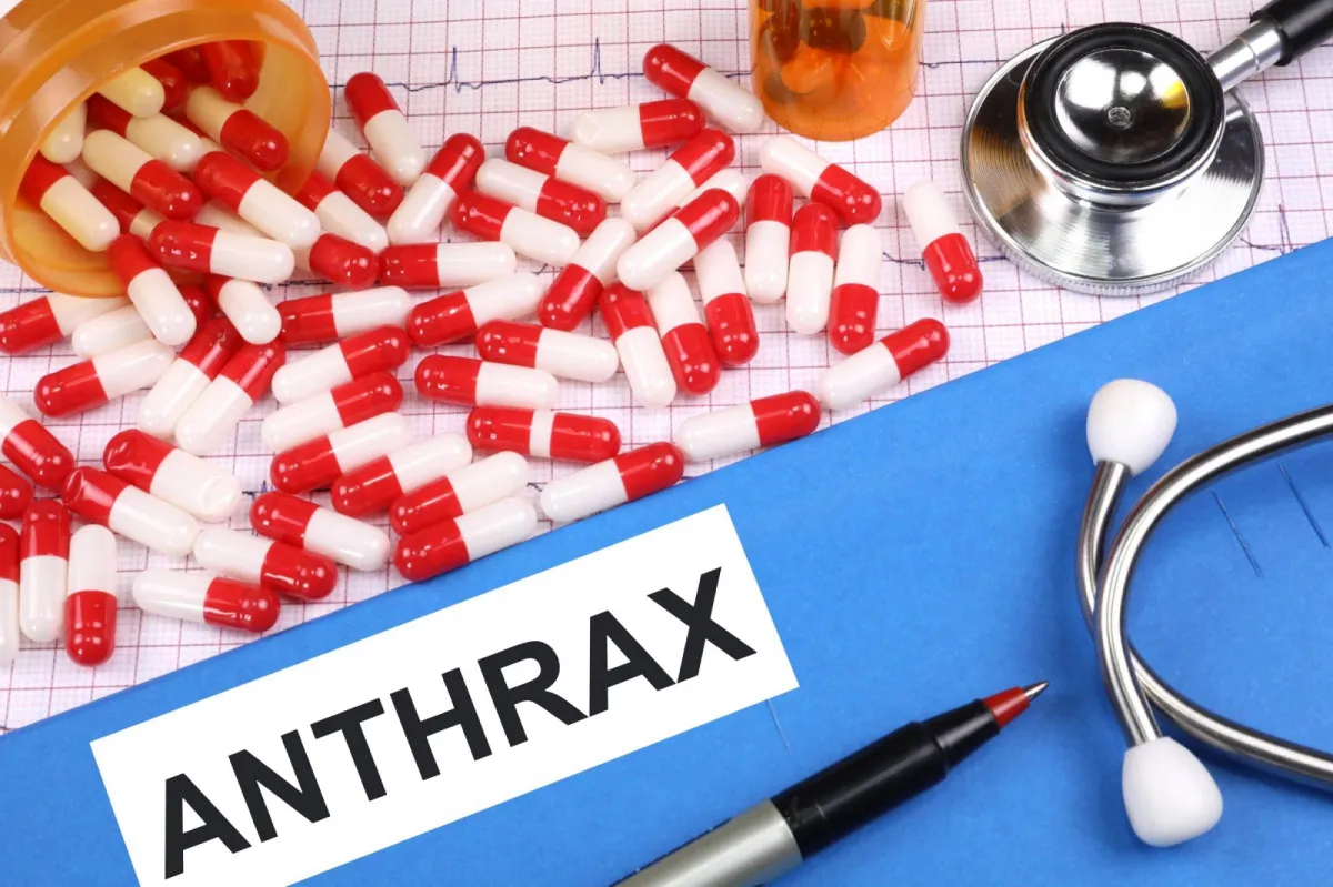 Anthrax.