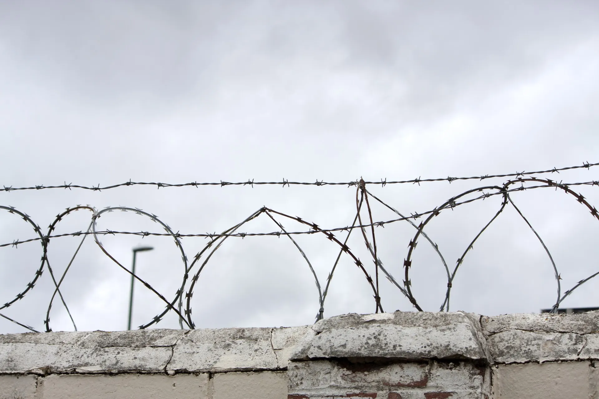Barbed wire fencing.
