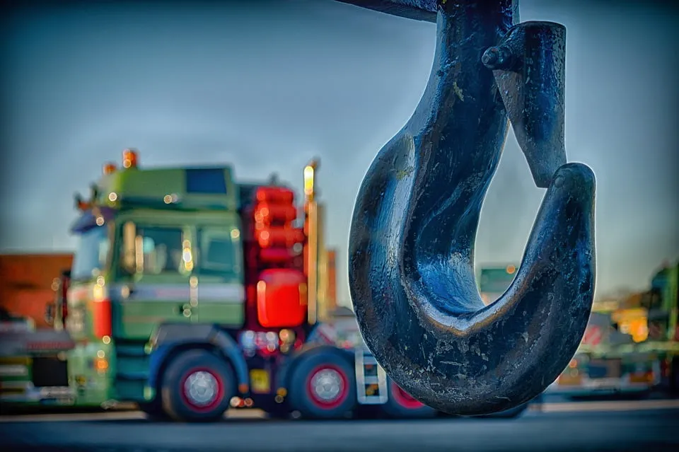 Crane hook