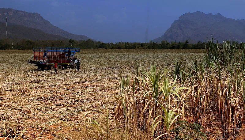 Farmers in Thailand