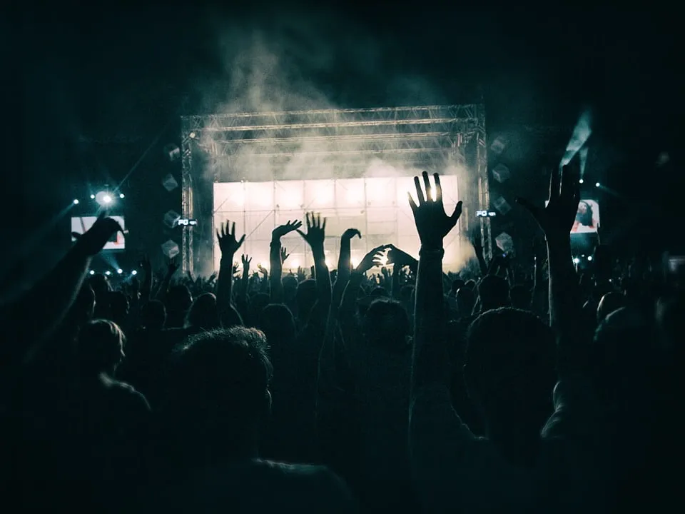 Crowd during a concert at a Night Club