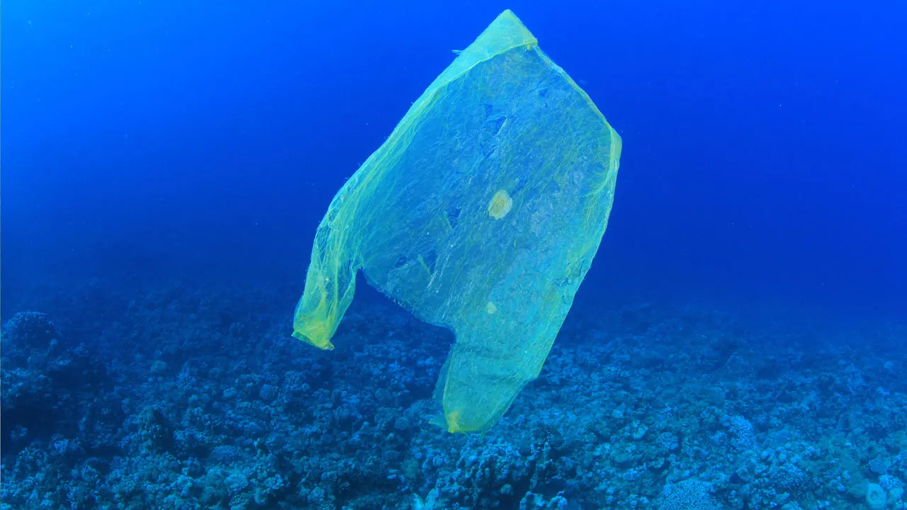 Plastic bag in the sea