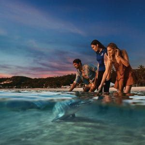 7 Days 5 Nights Charming Brisbane Gold Coast + Tangalooma 布里斯本黄金海岸 + 天閣露瑪魅力之旅