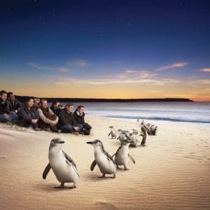 7/8 Days 5 Nights Extraordinary Melbourne Surrounds 探索墨尔本之旅