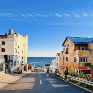 9 Days 7 Nights Fun In Shandong 玩转山东之旅
