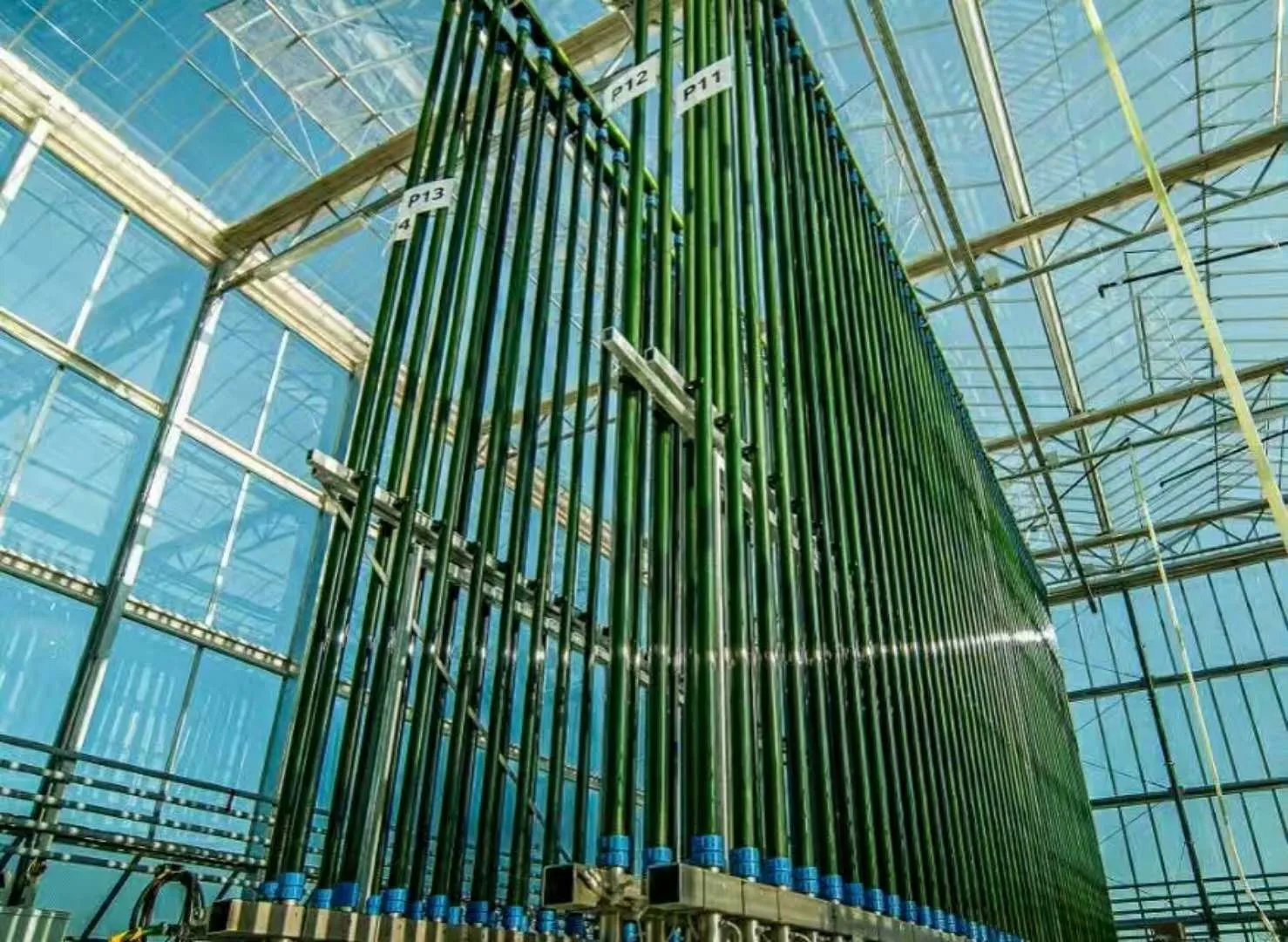 光生物反应器