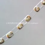 Skeletonema costatum中肋骨条藻 Skeletonema costatum中肋骨条藻