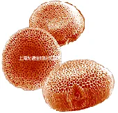 cluster_small