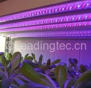 植物藻类工厂红光蓝光LED生长灯