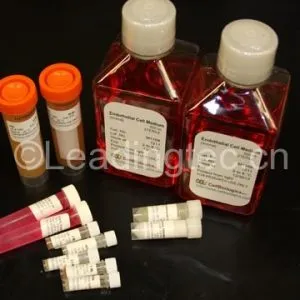 按需配置培养基